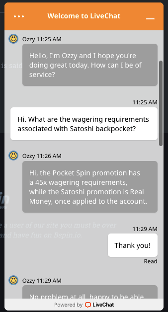 BSpin customer service live chat